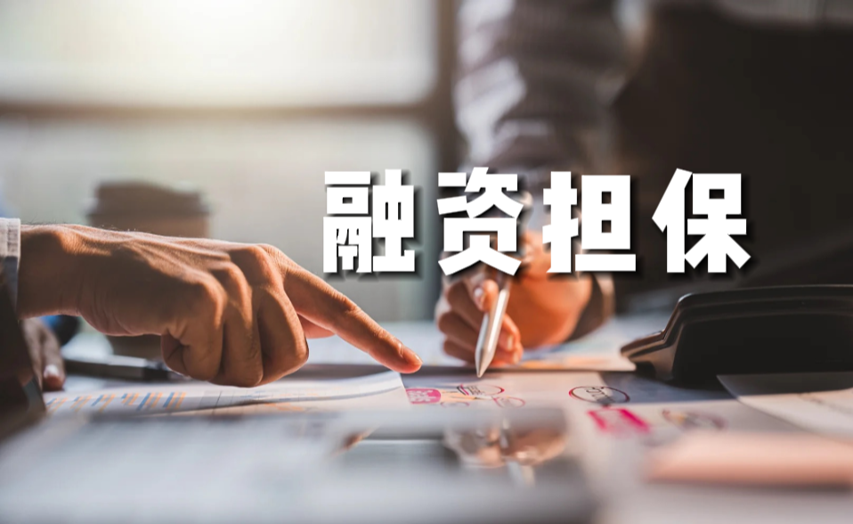 融資擔(dān)保